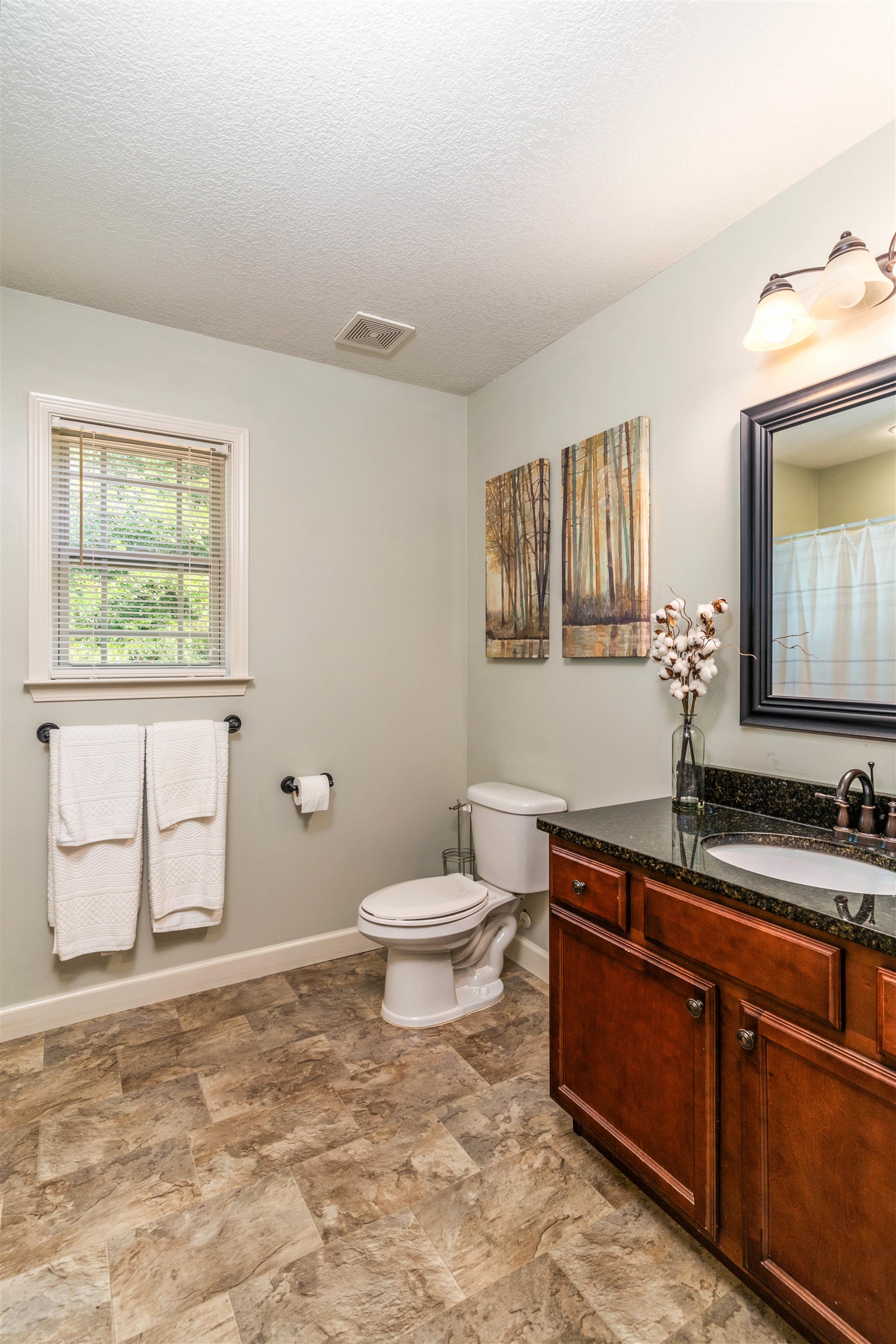 223 Reedy River Court