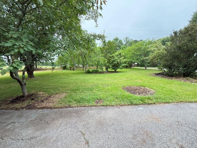 390 Abernathy Road