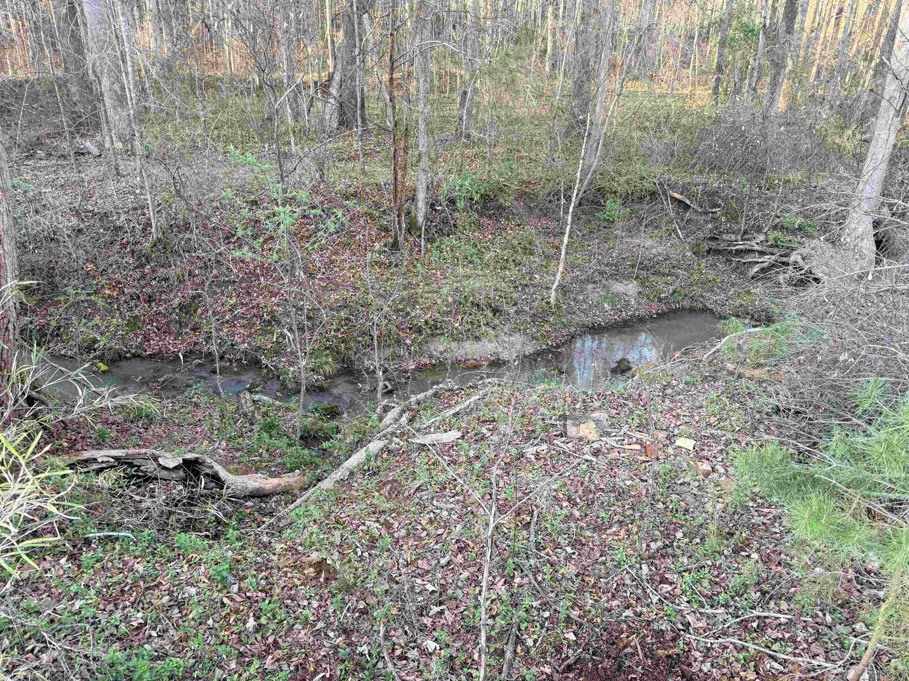 303 Horse Creek Road