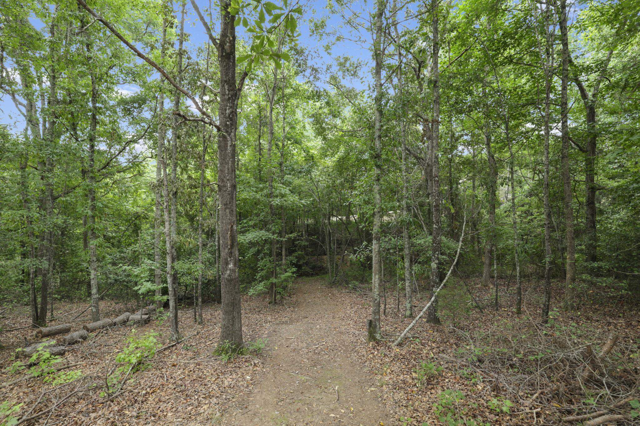195 McCraw Trail