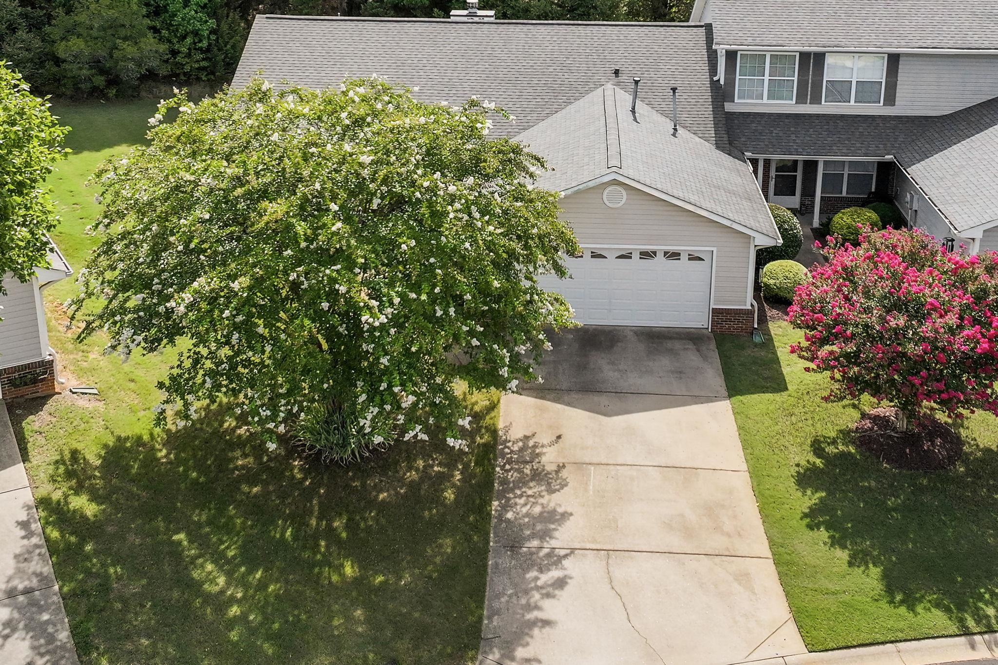 10 River Birch Way