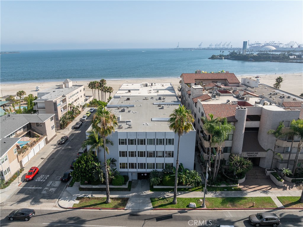 1250 E Ocean Boulevard 307