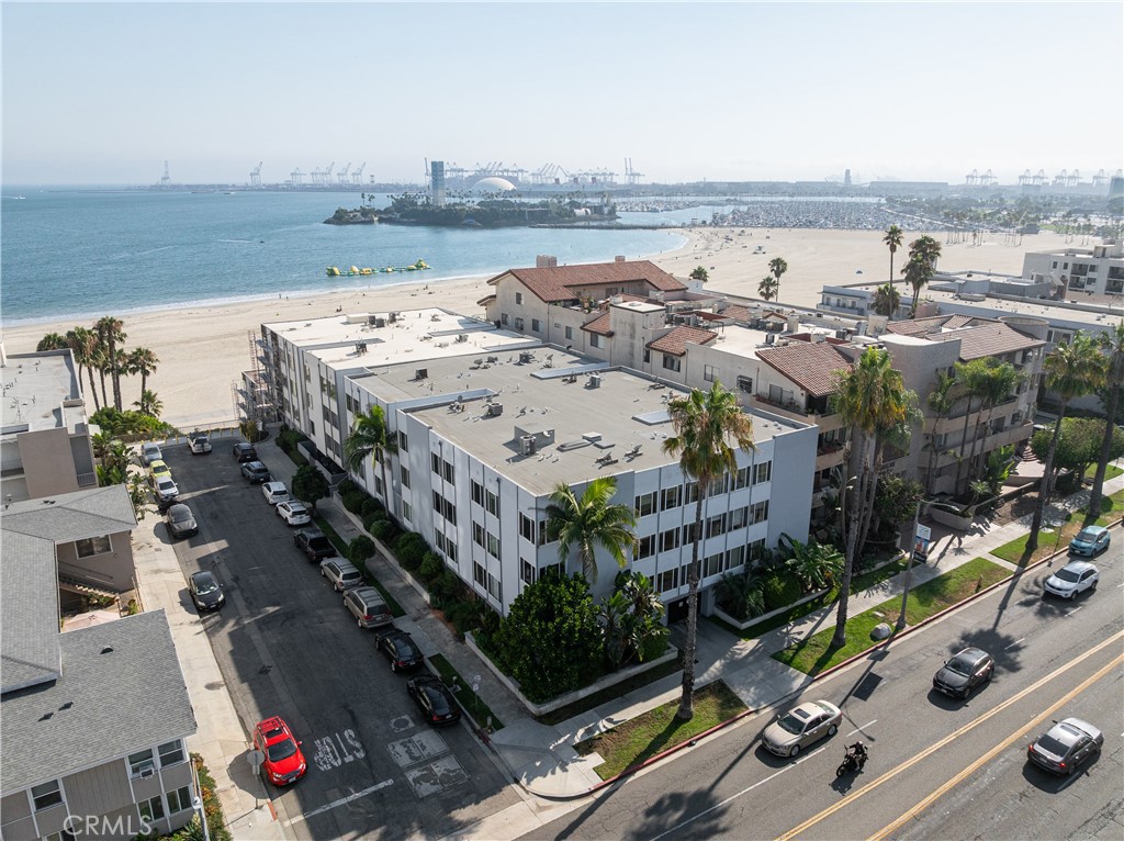 1250 E Ocean Boulevard 307