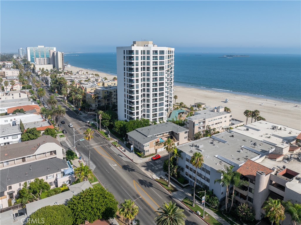 1250 E Ocean Boulevard 307