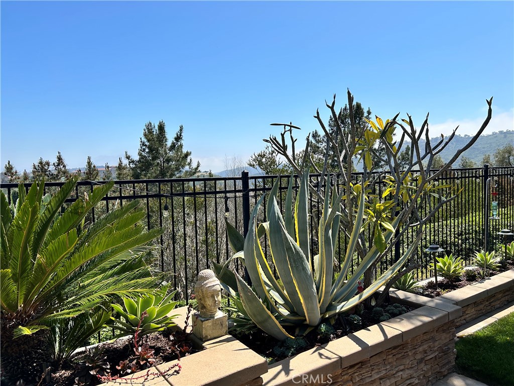 46 Trail Canyon Drive