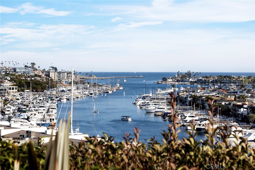 1131 Dolphin Terrace