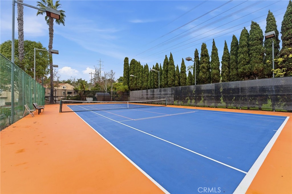 7767 Caminito Monarca 100