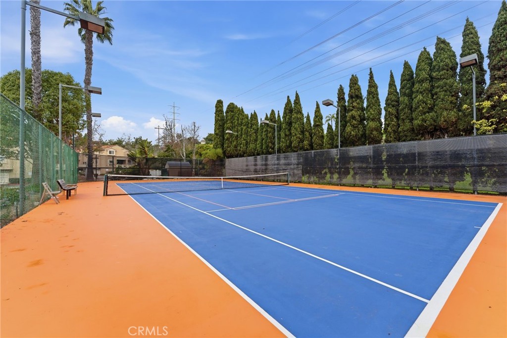 7767 Caminito Monarca 100