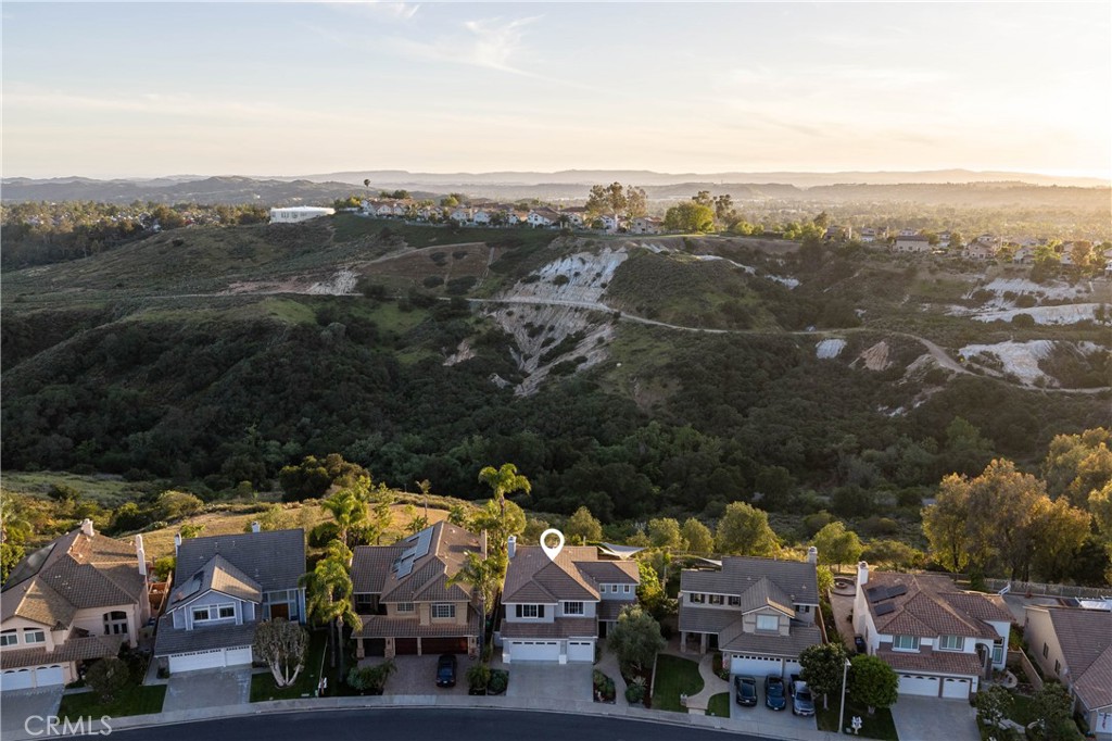 21431 Silvertree