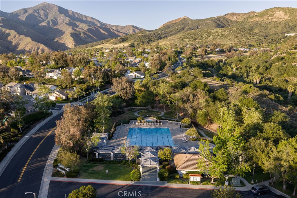21431 Silvertree