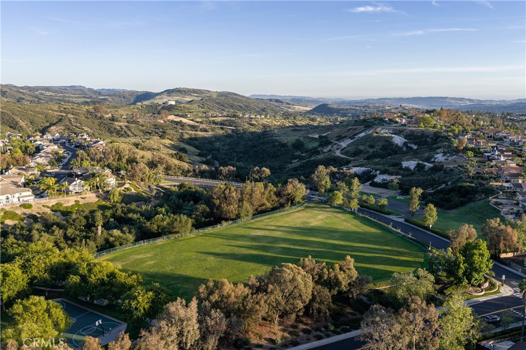 21431 Silvertree