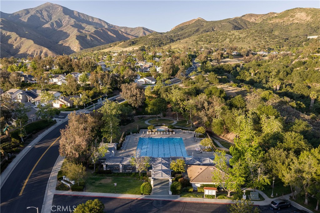 21431 Silvertree