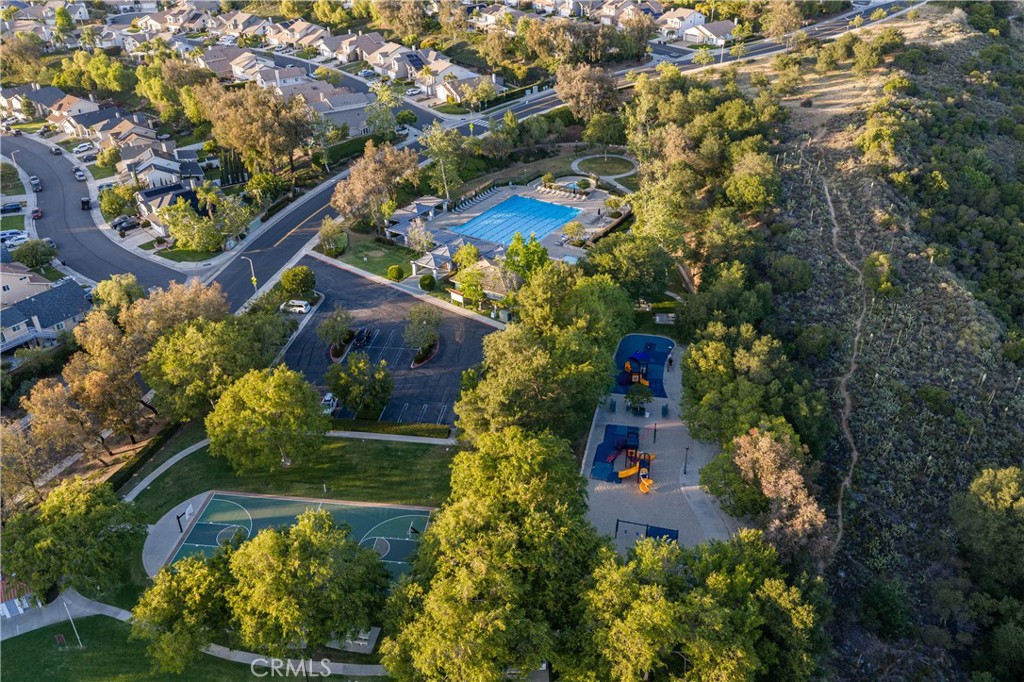 21431 Silvertree