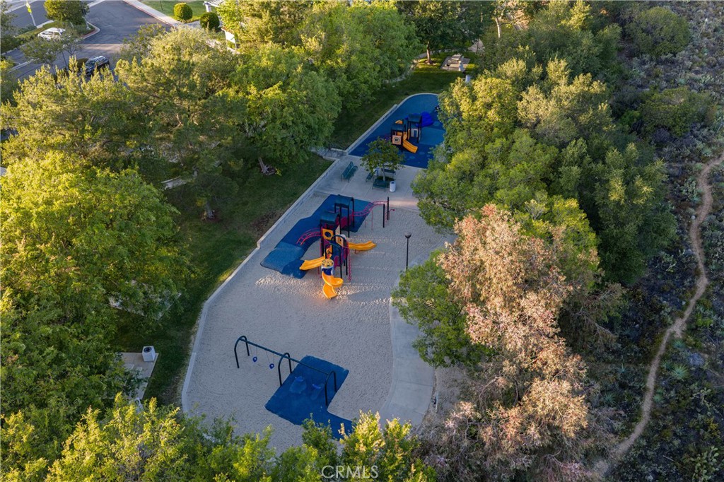 21431 Silvertree
