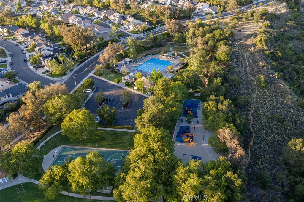 21431 Silvertree