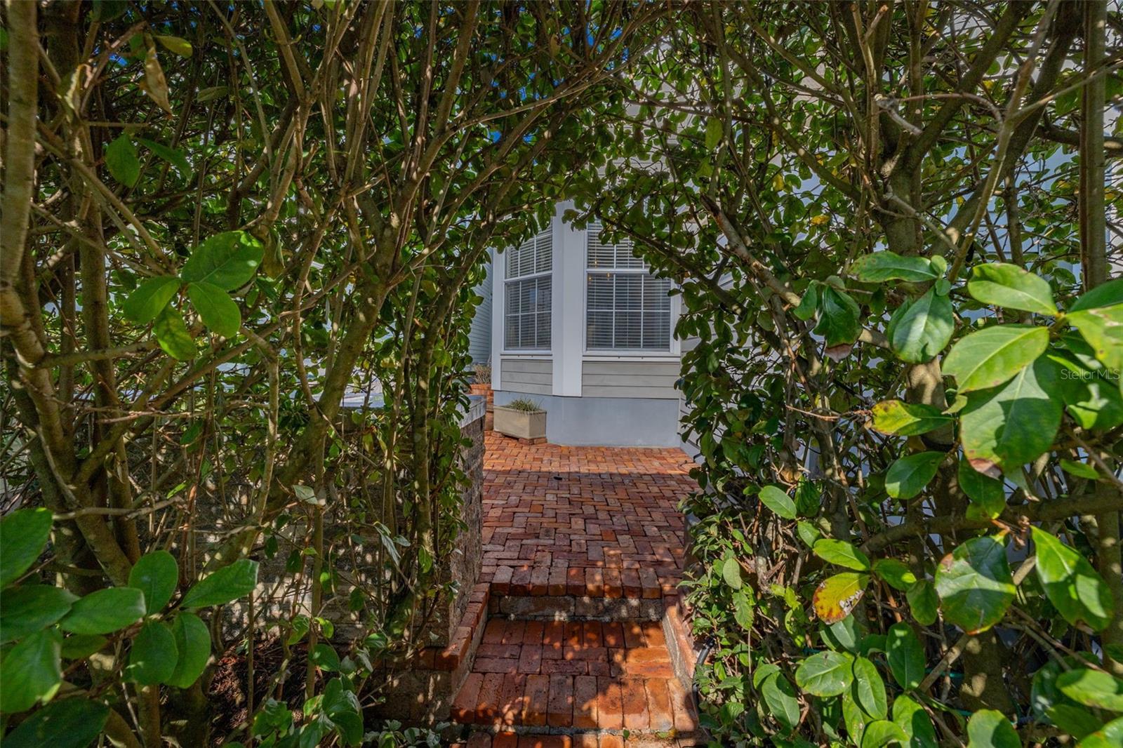 1241 GOLDEN CANNA LN