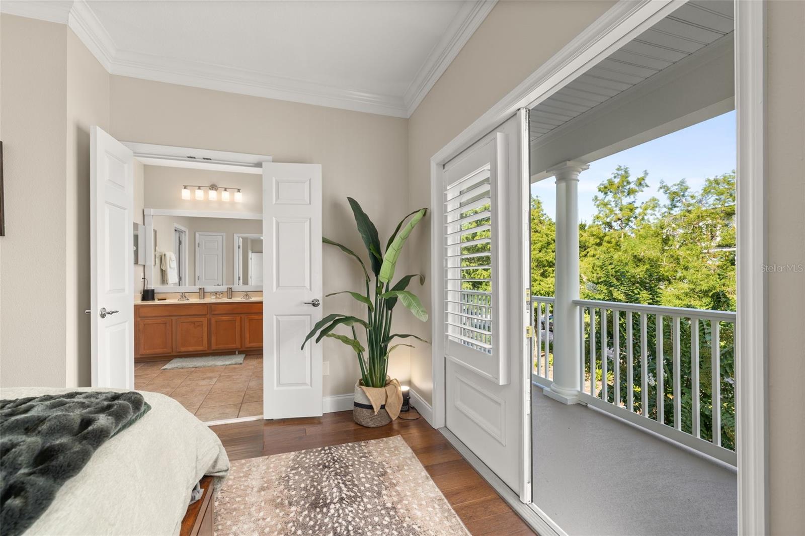 1241 GOLDEN CANNA LN