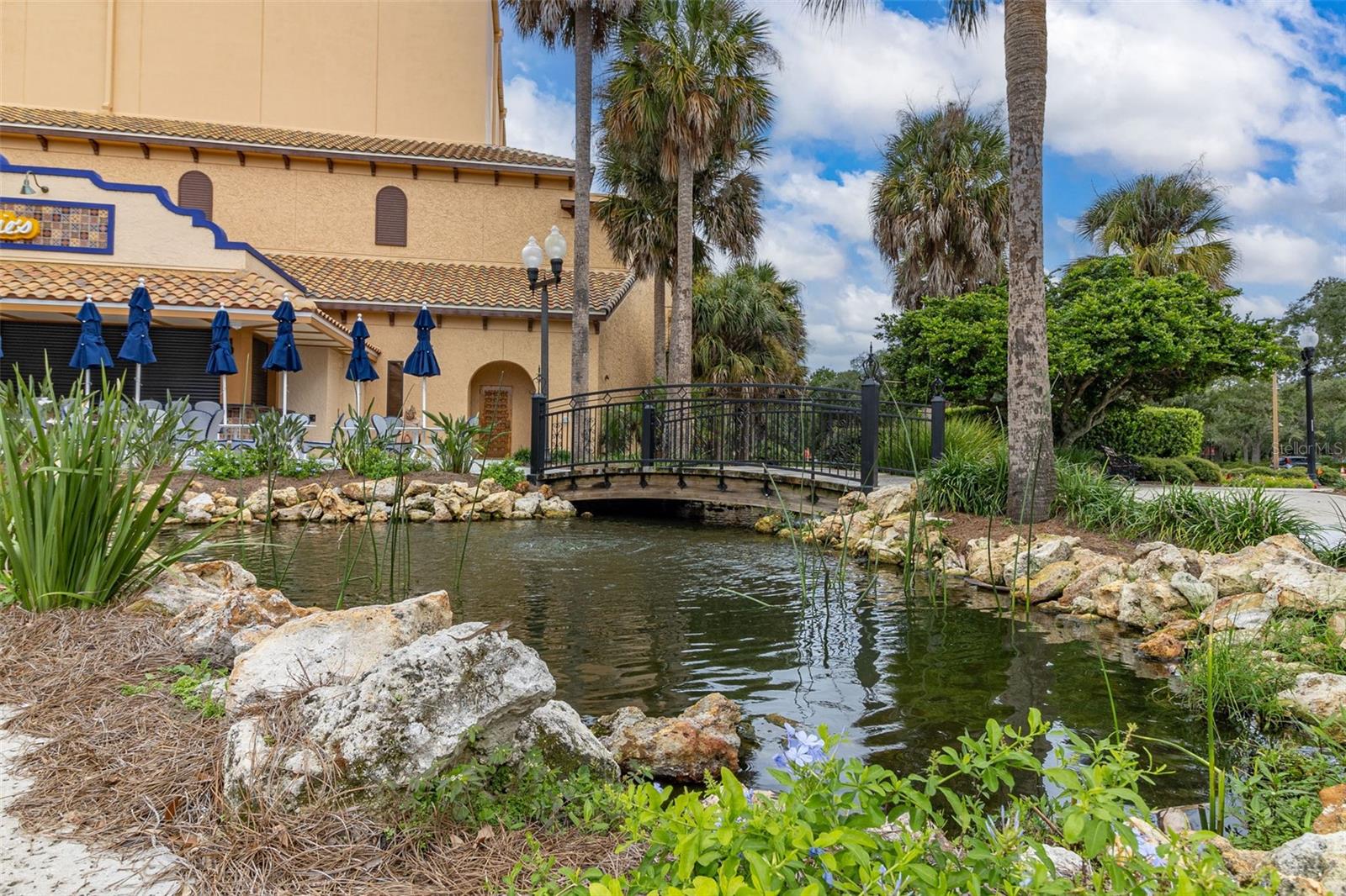 1014 SWAMP CHESTNUT LOOP