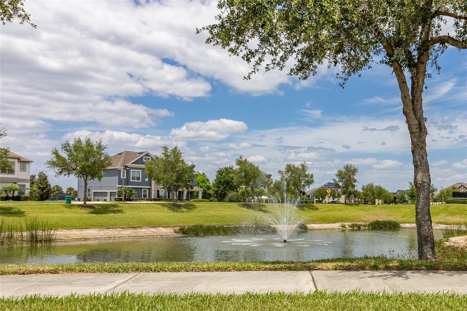 15583 HAMLIN BLOSSOM AVE