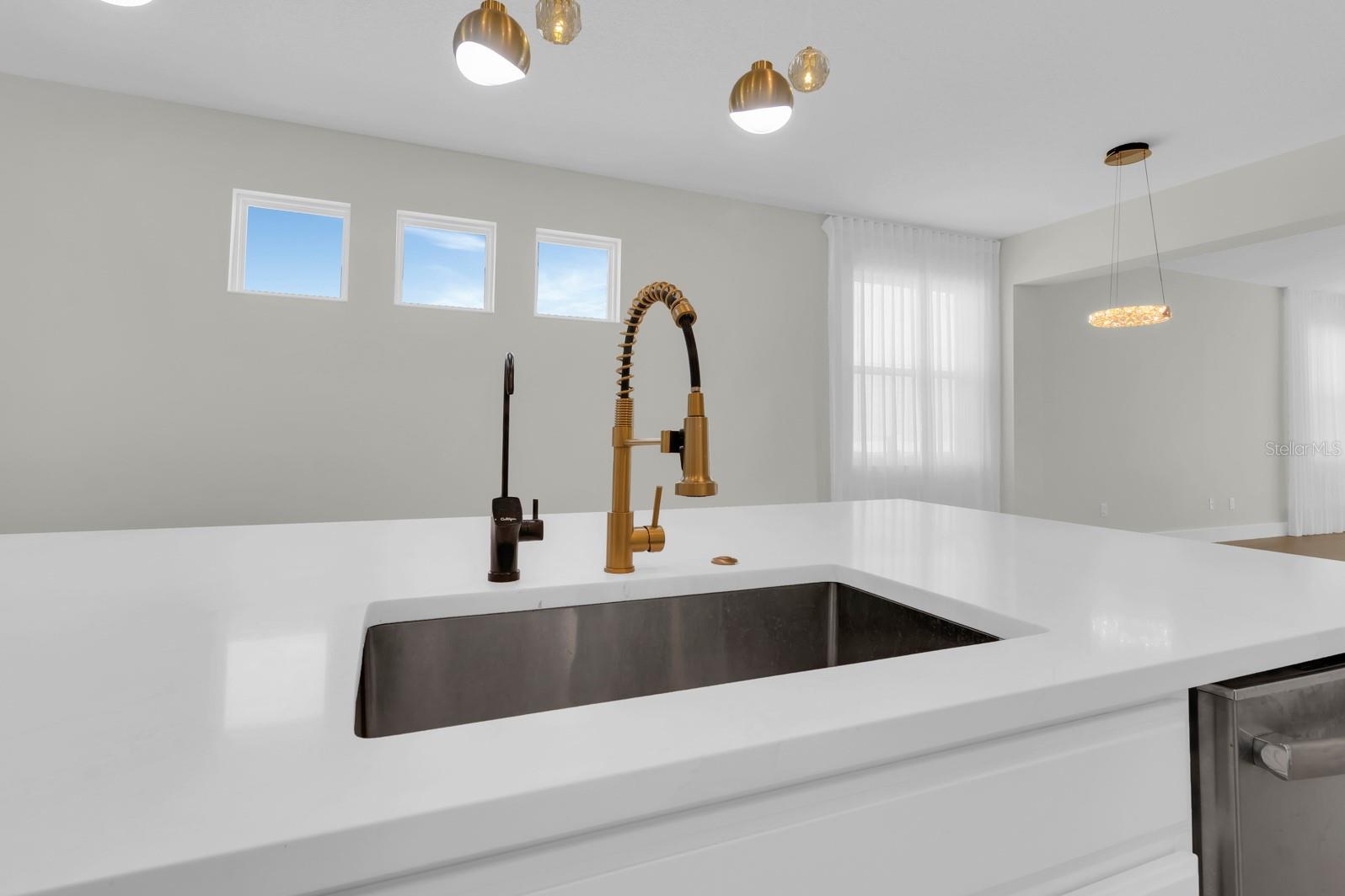 15583 HAMLIN BLOSSOM AVE