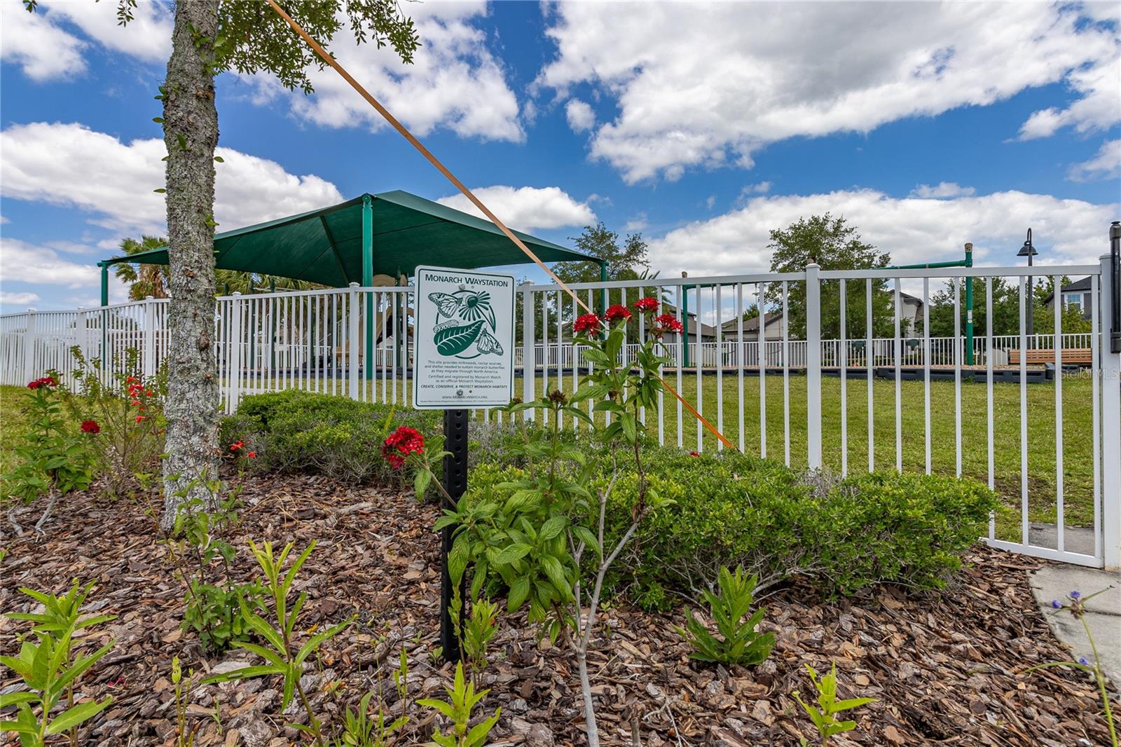 15583 HAMLIN BLOSSOM AVE