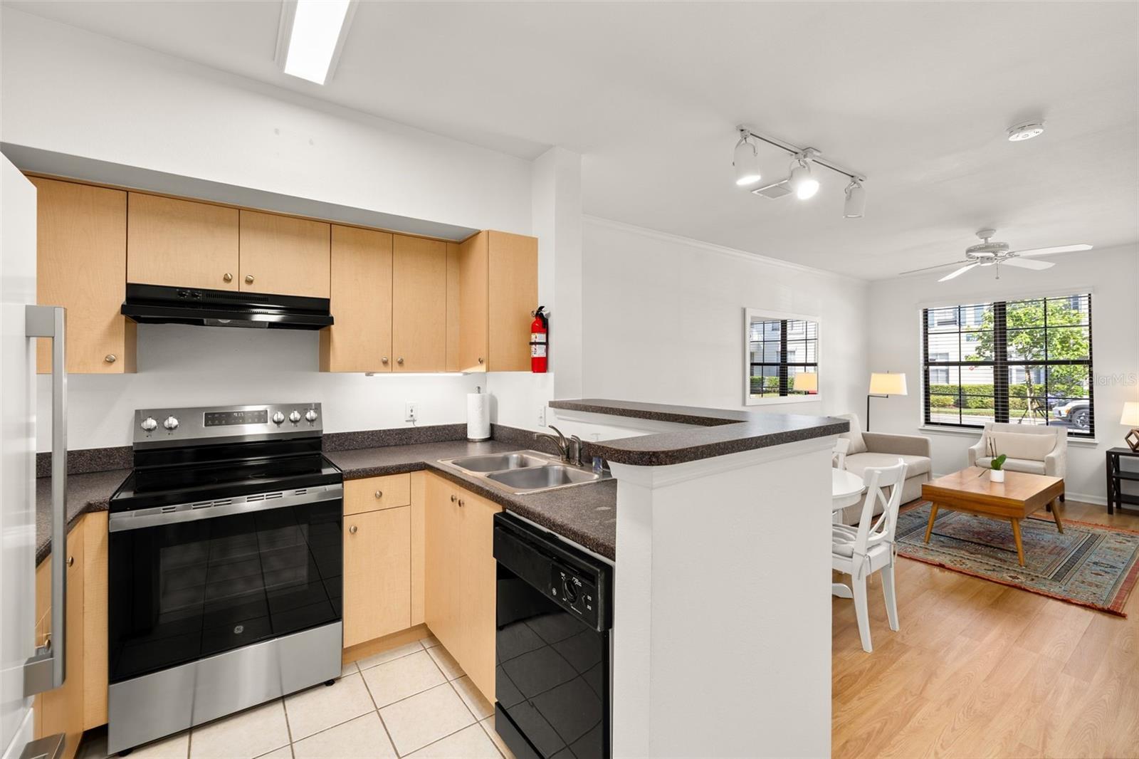 755 SIENA PALM DR #755