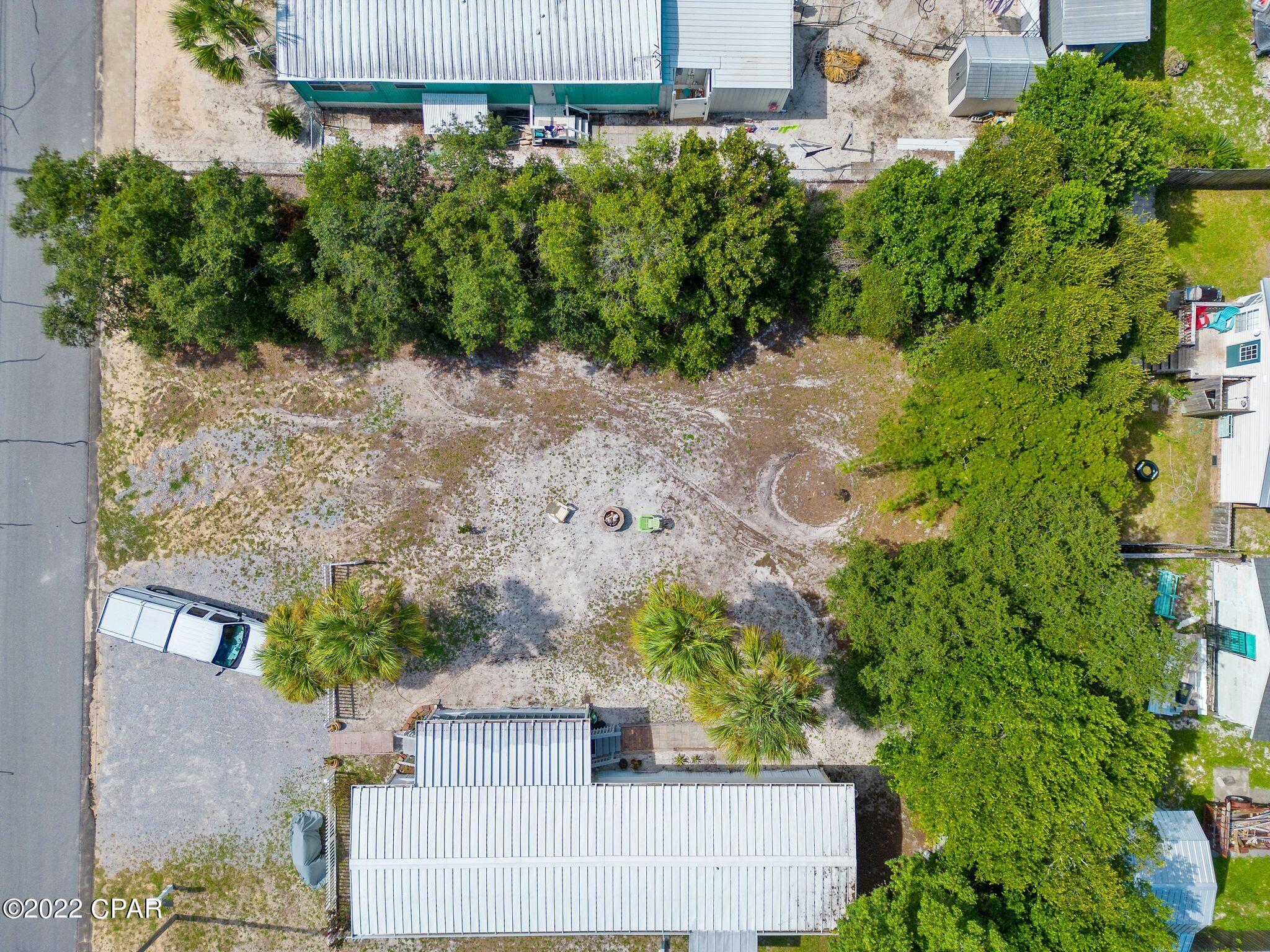 317 Christmas Tree Lane