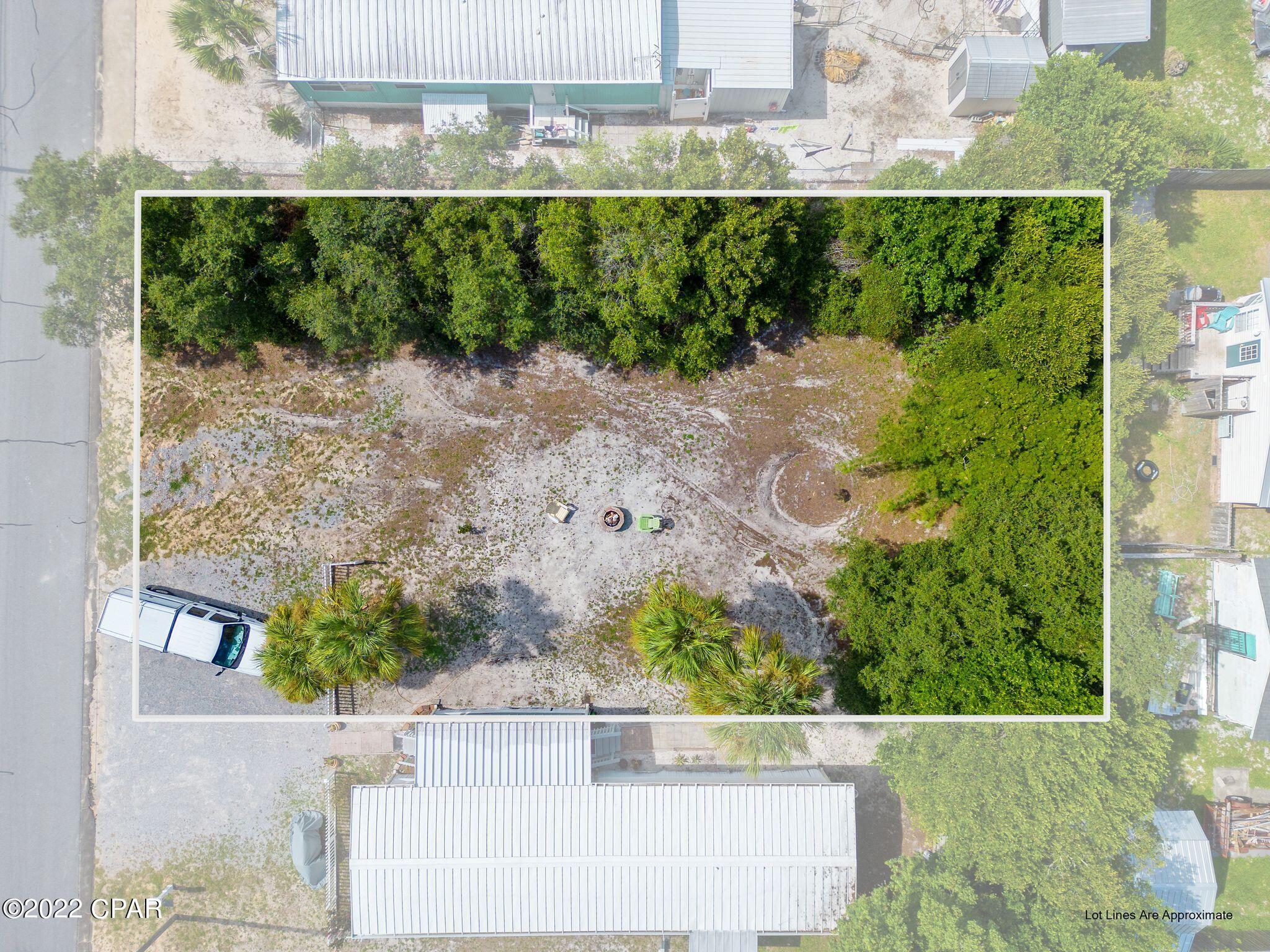 317 Christmas Tree Lane