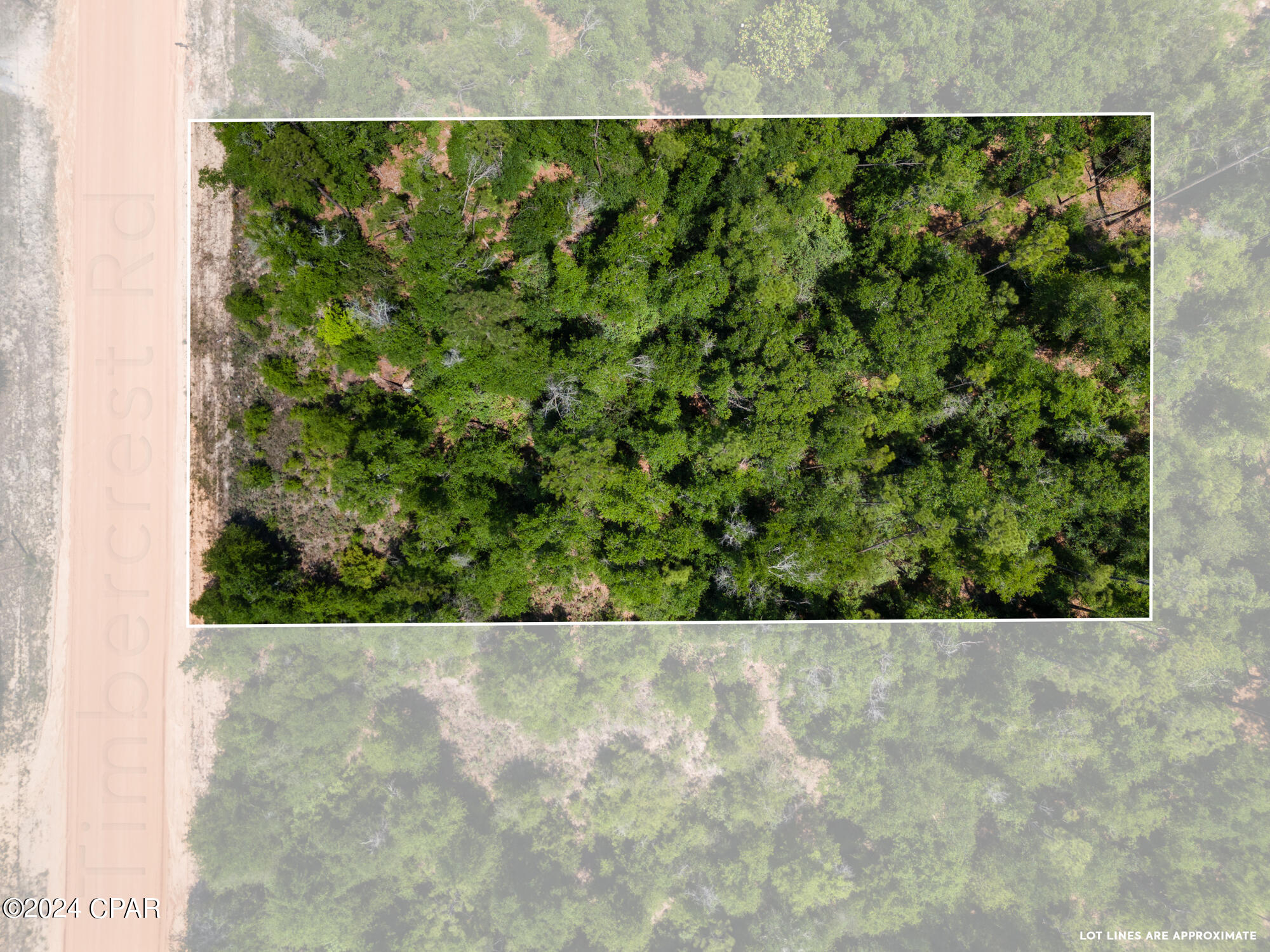 12850 Timbercrest Road