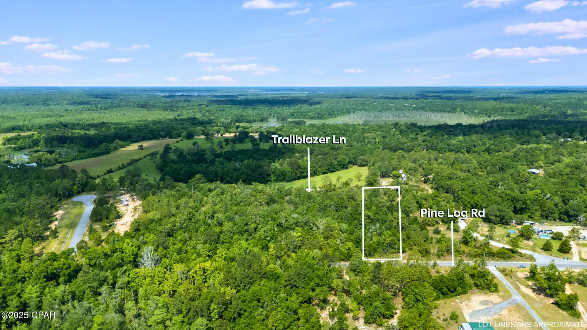 000 Pine Log Road