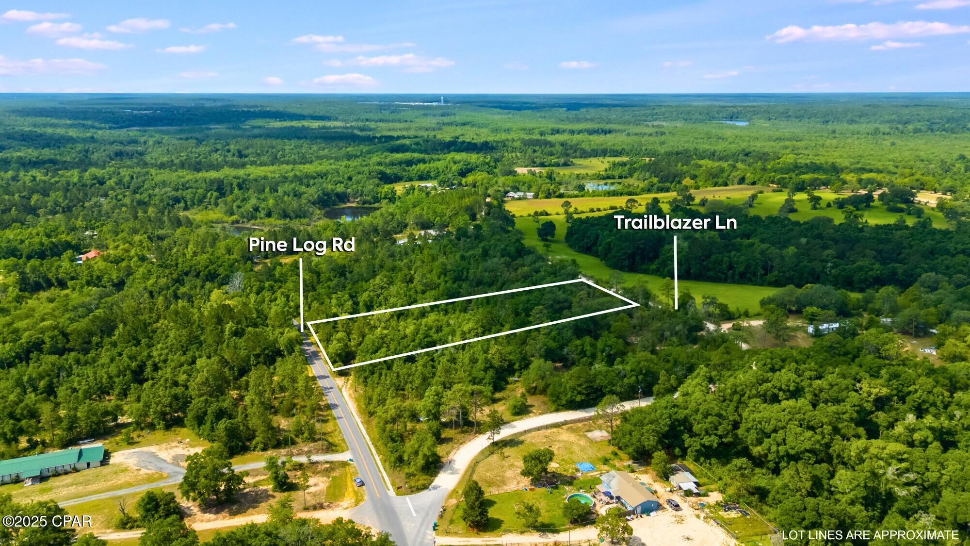 000 Pine Log Road