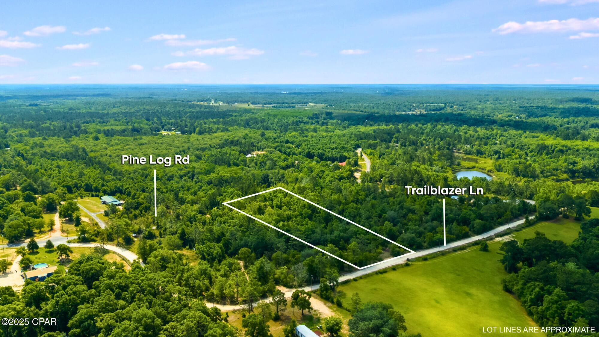 000 Pine Log Road