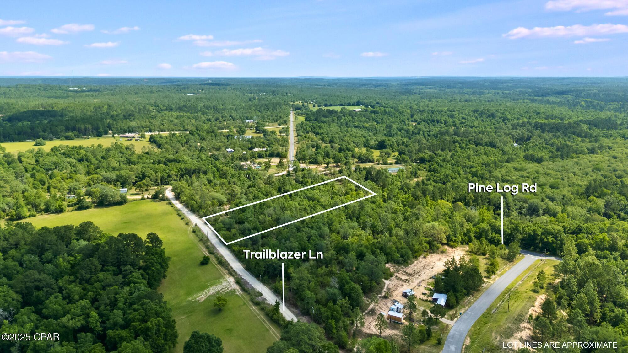 000 Pine Log Road