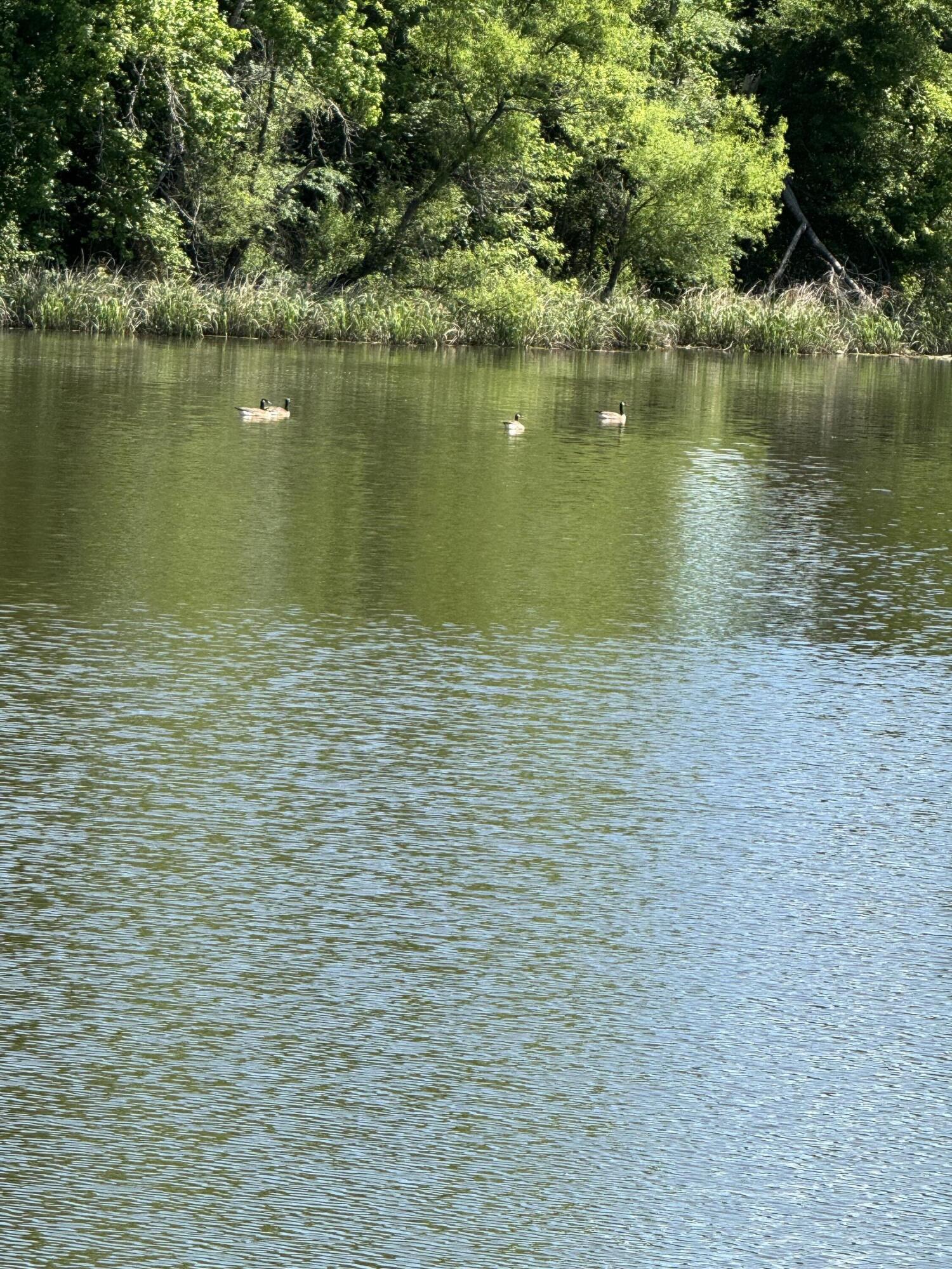 00 The Gates Drive, 47, Decatur