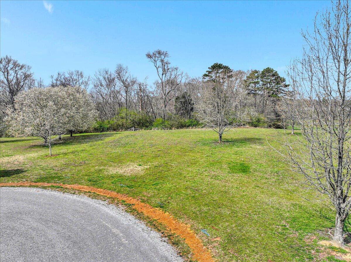 Lot 3 Brinkmeier Lane