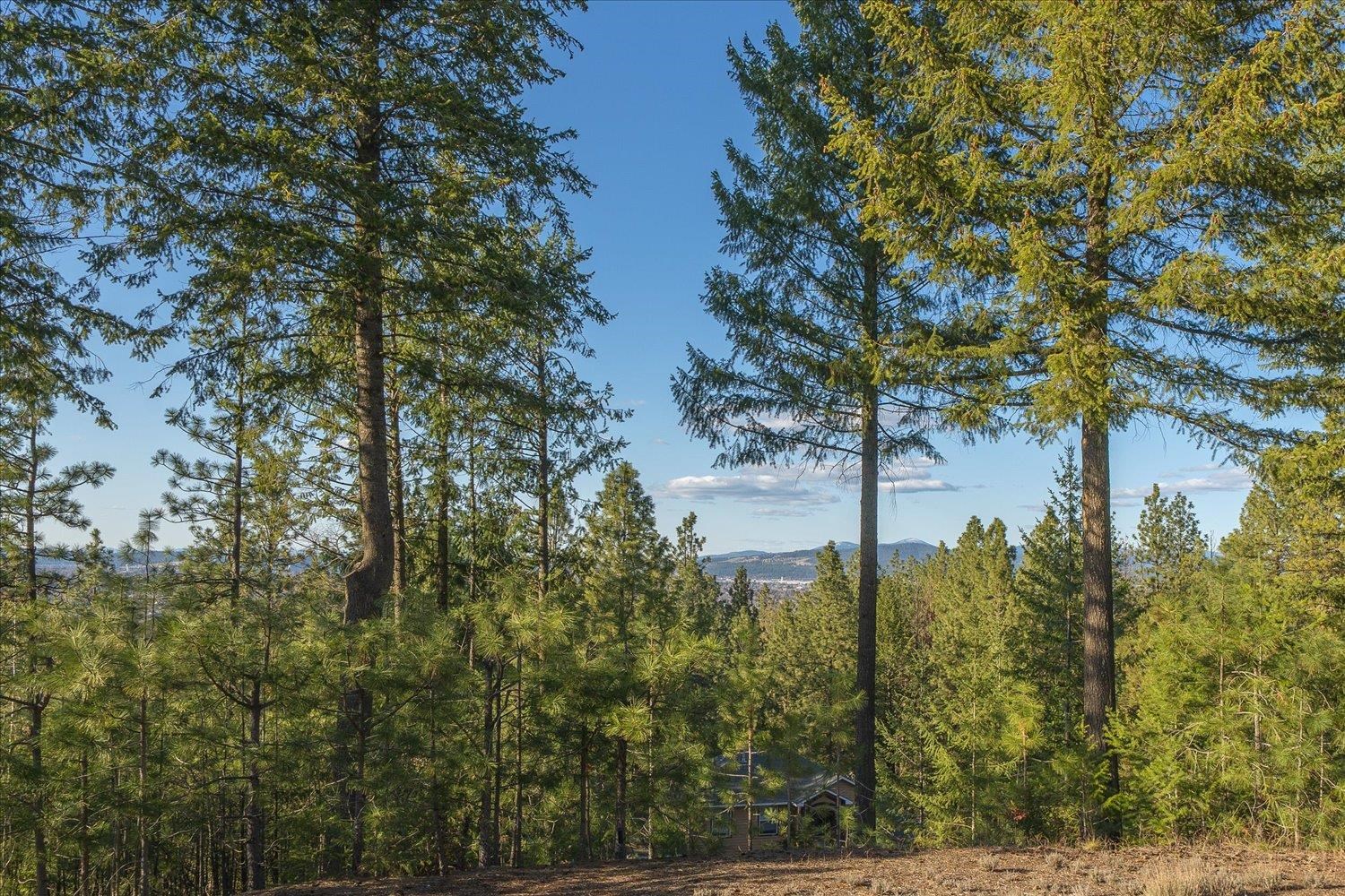 15016 E BELLA VISTA Ln