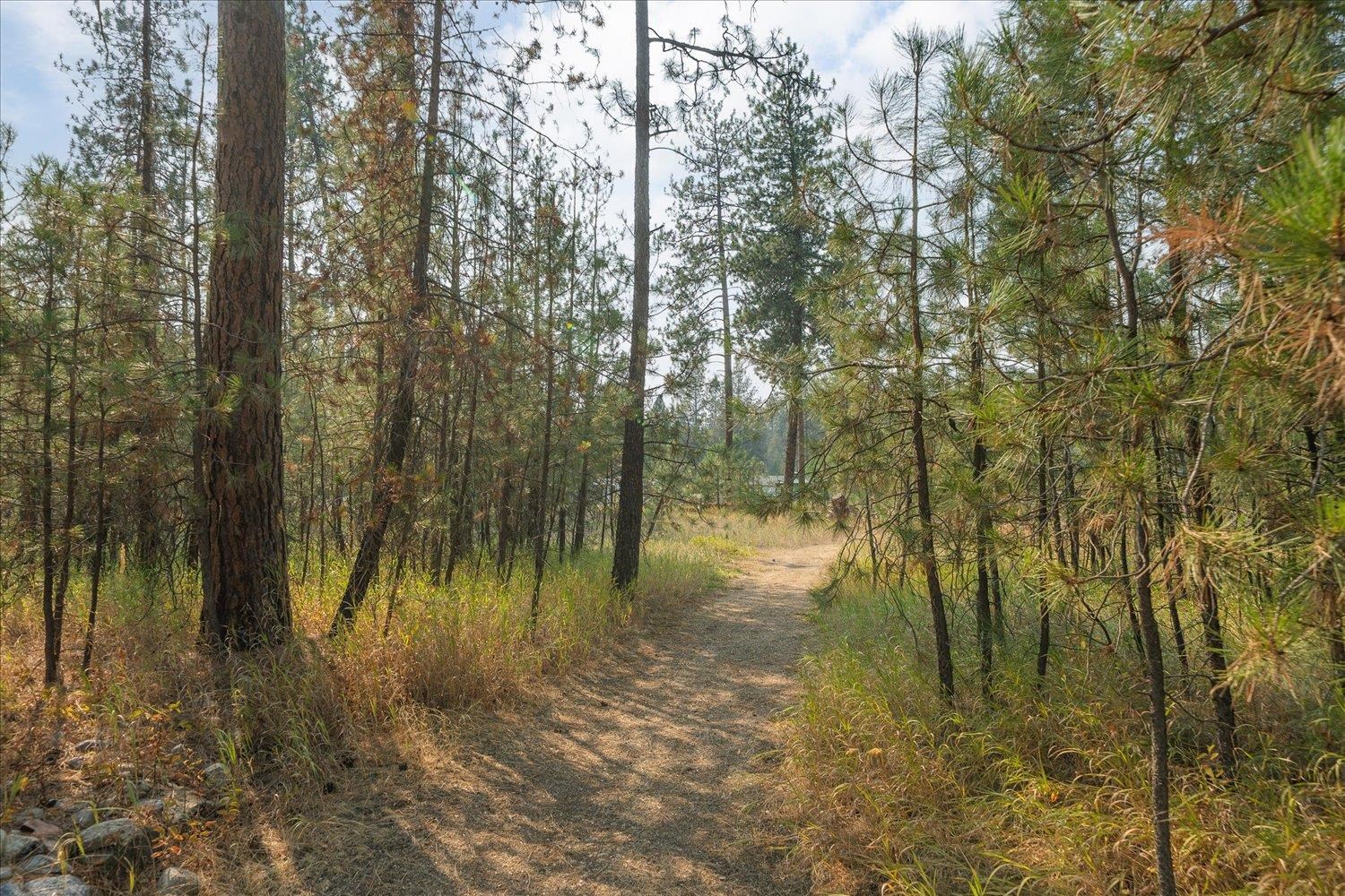 27415 N Bear Lake Rd