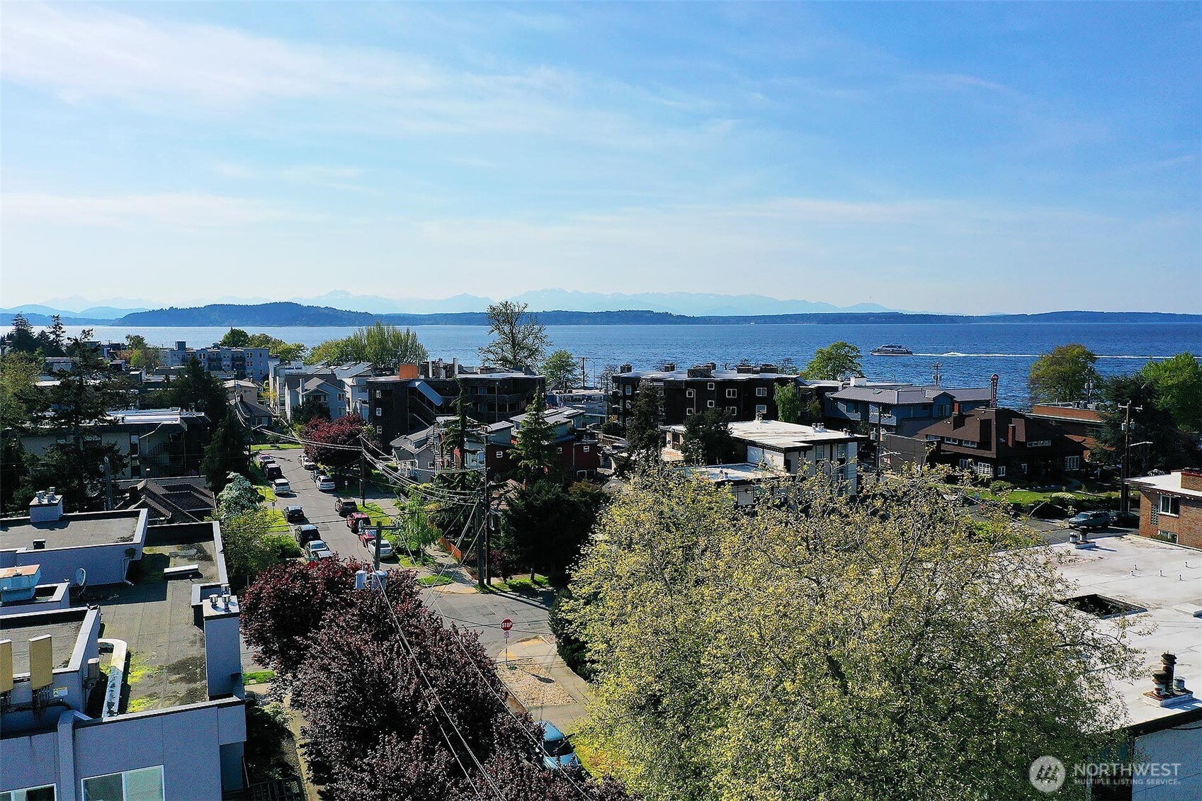 6009 SW Stevens Street