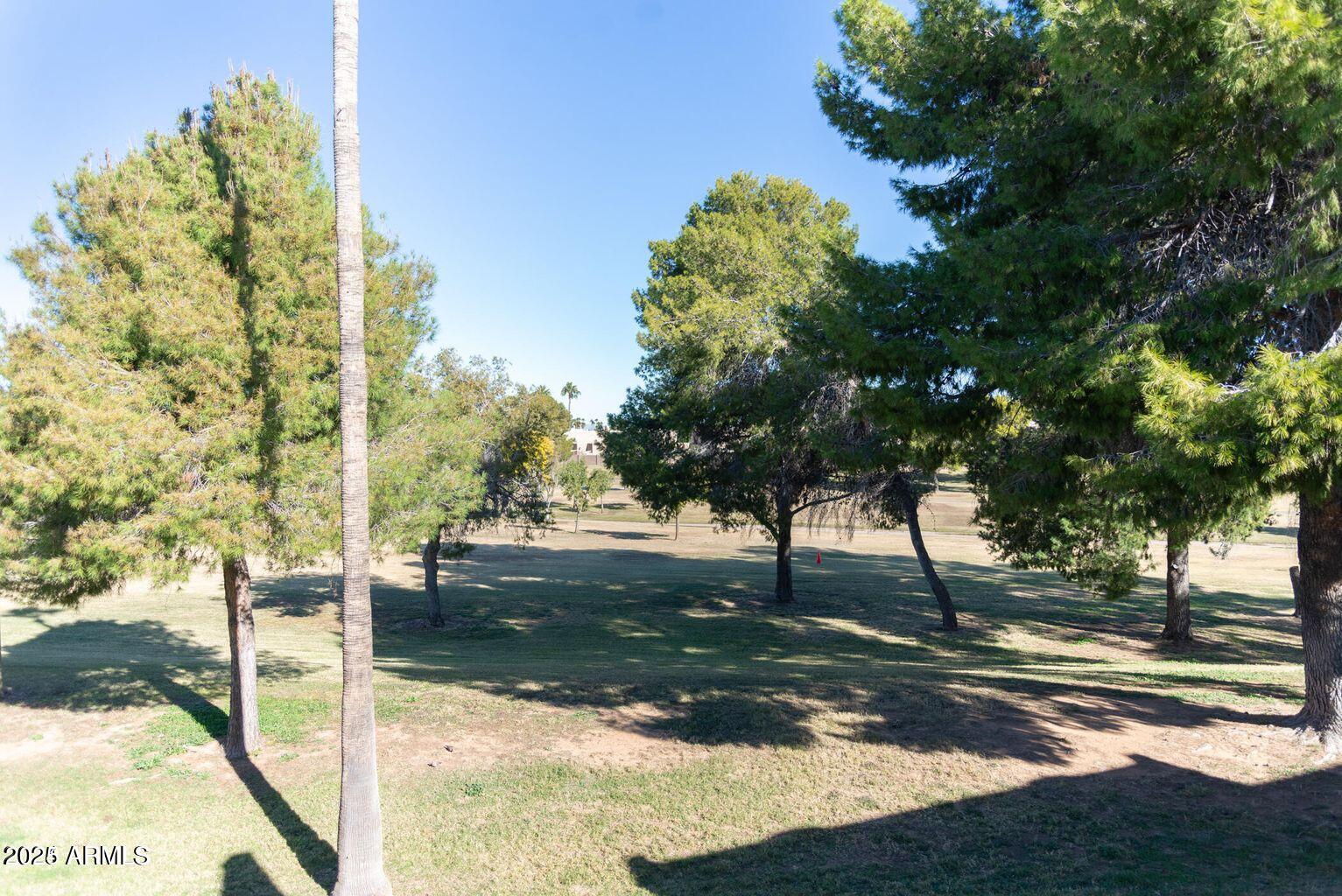 4050 E cactus Road, 208