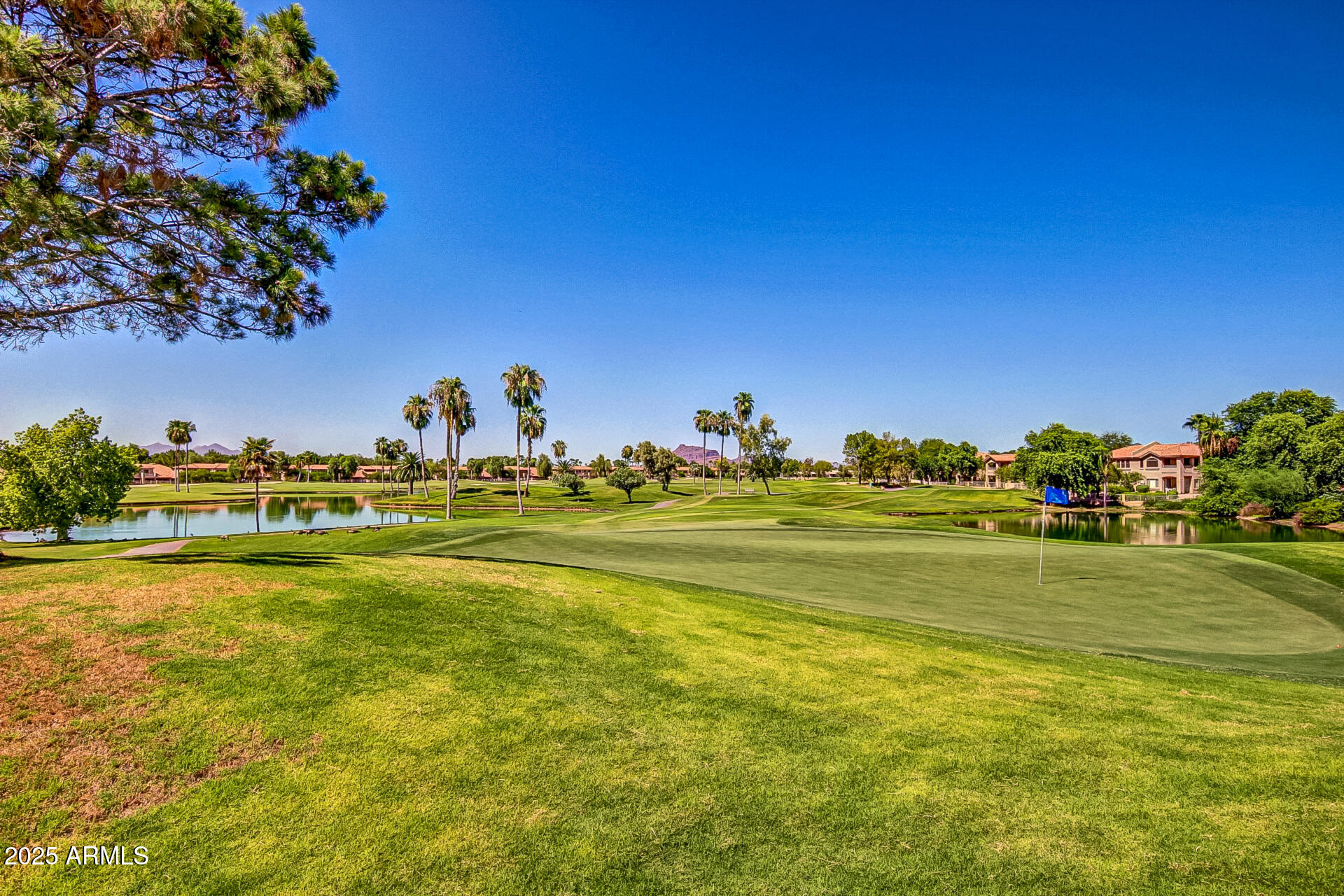 5505 E MCLELLAN Road 46