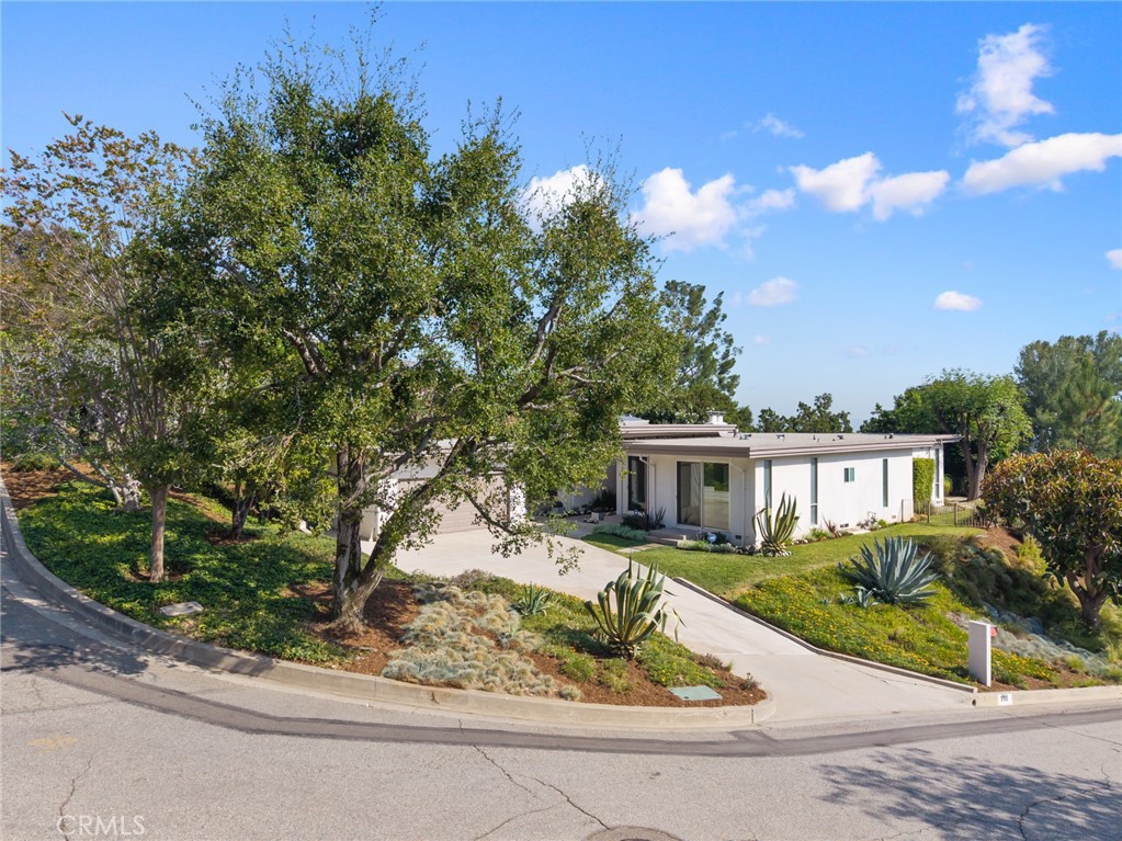 598 Camillo Road