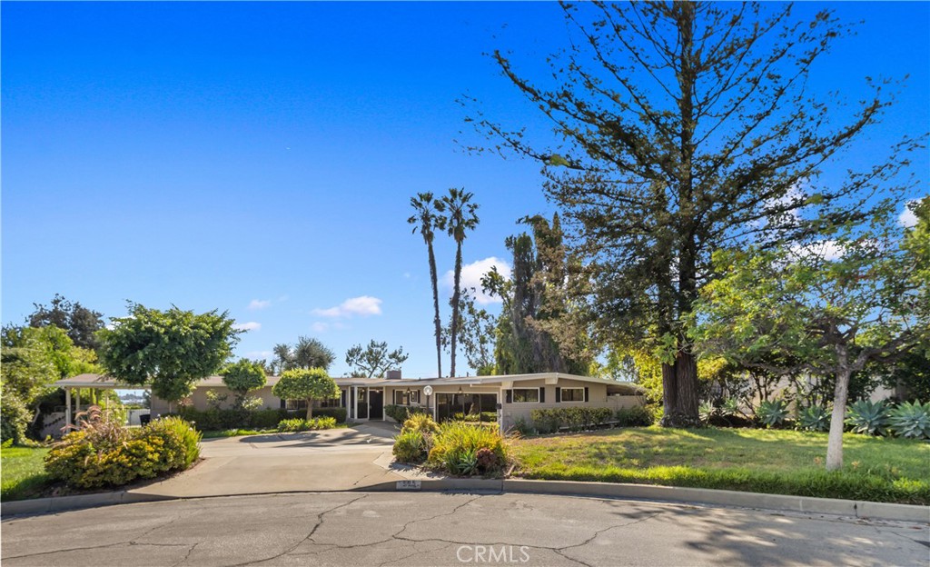 595 Rim Road