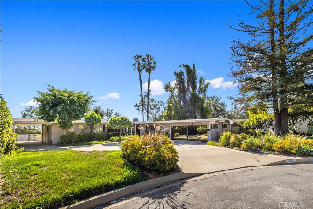 595 Rim Road