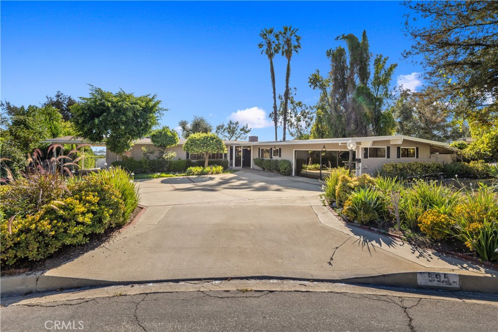 595 Rim Road