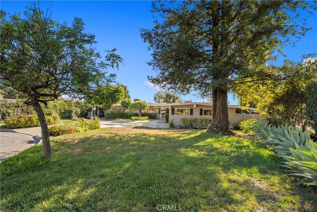 595 Rim Road