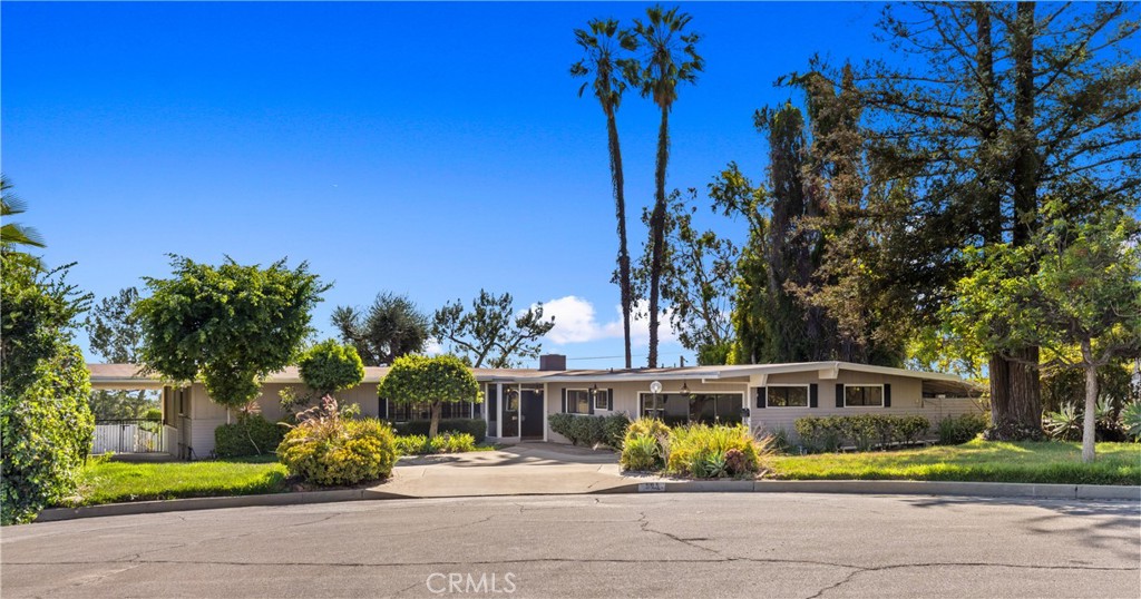 595 Rim Road