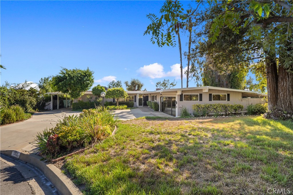 595 Rim Road