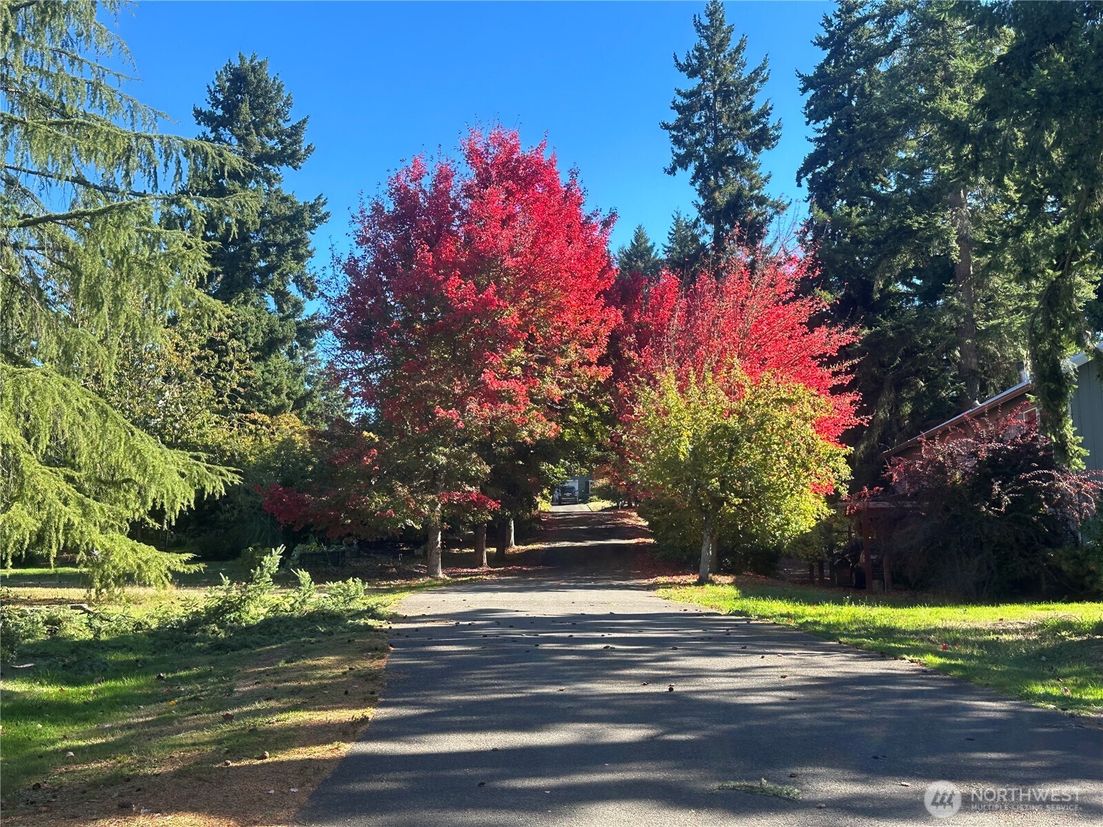 636 Janelle Place NW