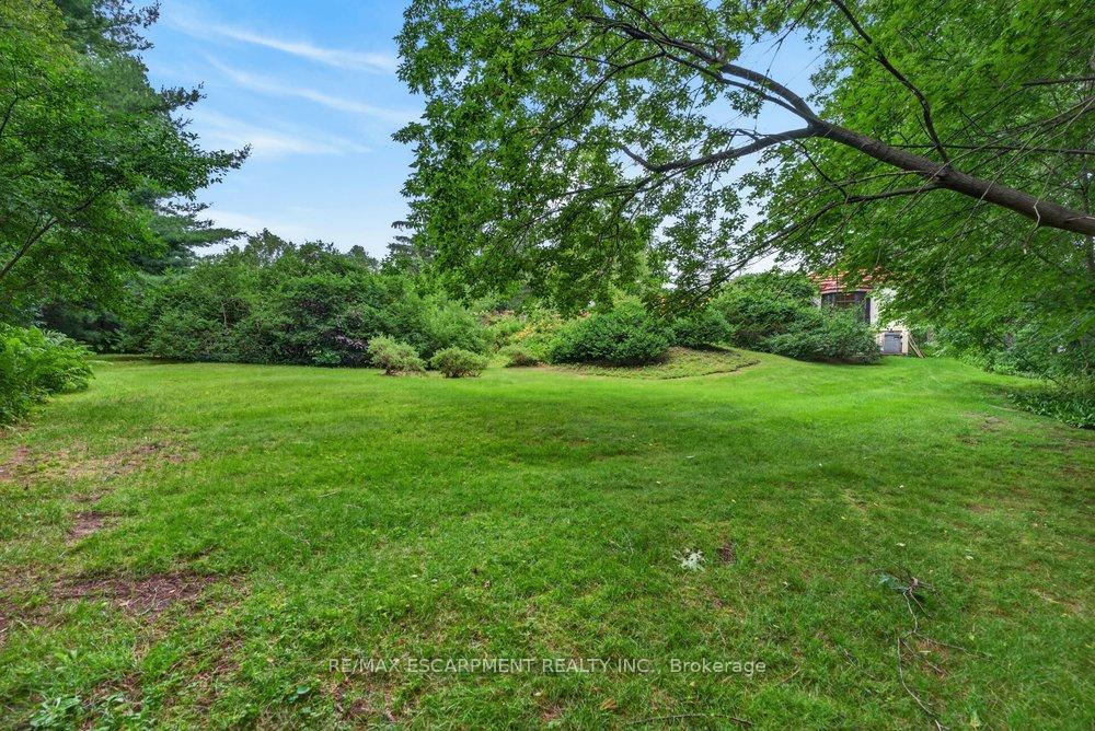 230 Morrison Road