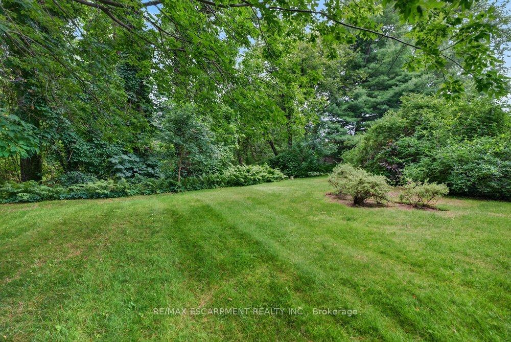 230 Morrison Road
